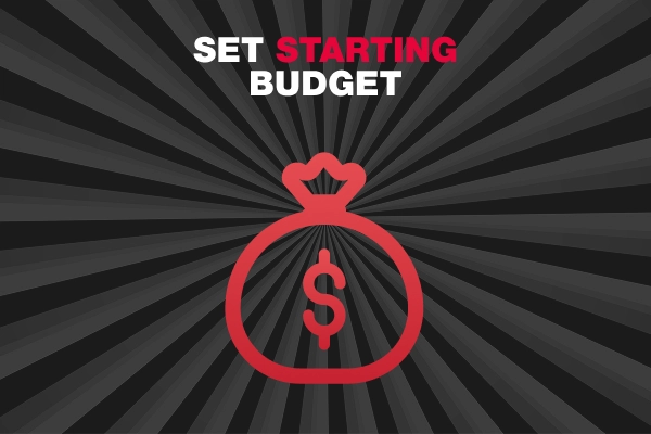 The inscription Set starting budget and the icon "bag of money"